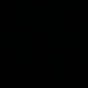 Meet your Posher, Colby shea